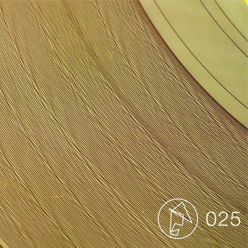 Embodiment 025 - Worg (live)