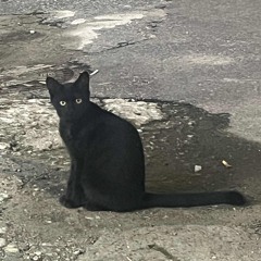 세상에서가장멍청하게사는법 (feat. Uruma)