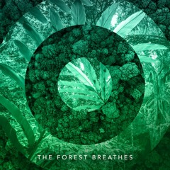 The Forest Breathes