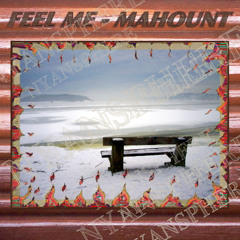 Feel Me Orchestra Ft Nas (Hate me now)