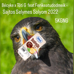 Bécyke x Töti G feat Ferikeatudodmeik - Sajtos Selymes Solyom