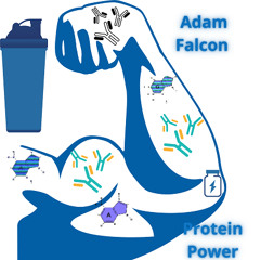 Adam Falcon - Protein Power