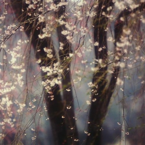 Làm Thế Nào , Làm Sao Sống , Sống Thế Nào Remix