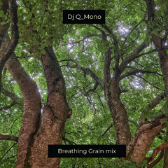 Breathing Grain mix