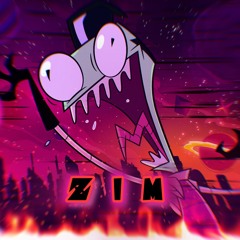 DAY 30. ZIM! | MK II