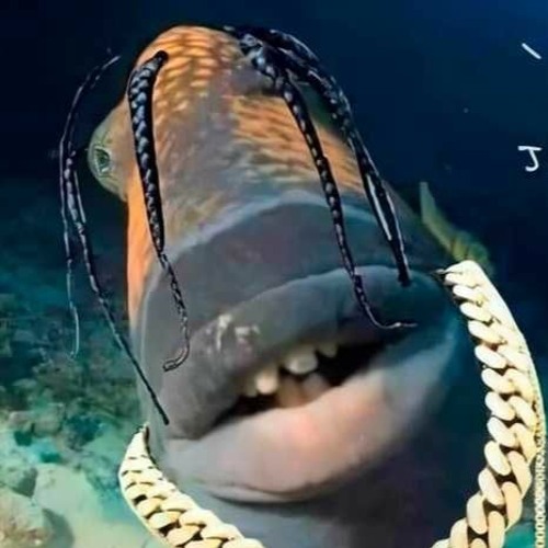 Why you aint except my friend request bro?