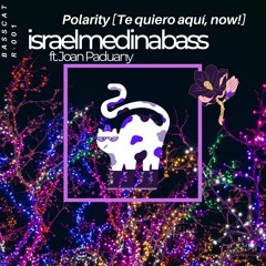 israelmedinabass ft. Joan Paduany -Polarity [Te quiero aquí, now] (Original Mix)