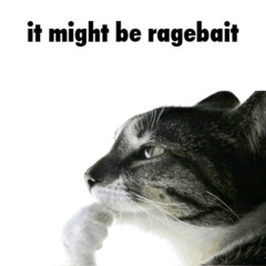 Boosted (infekt) X Baby Doock (Toog & Goot) X 1K Express (Honk & Chiyoko)