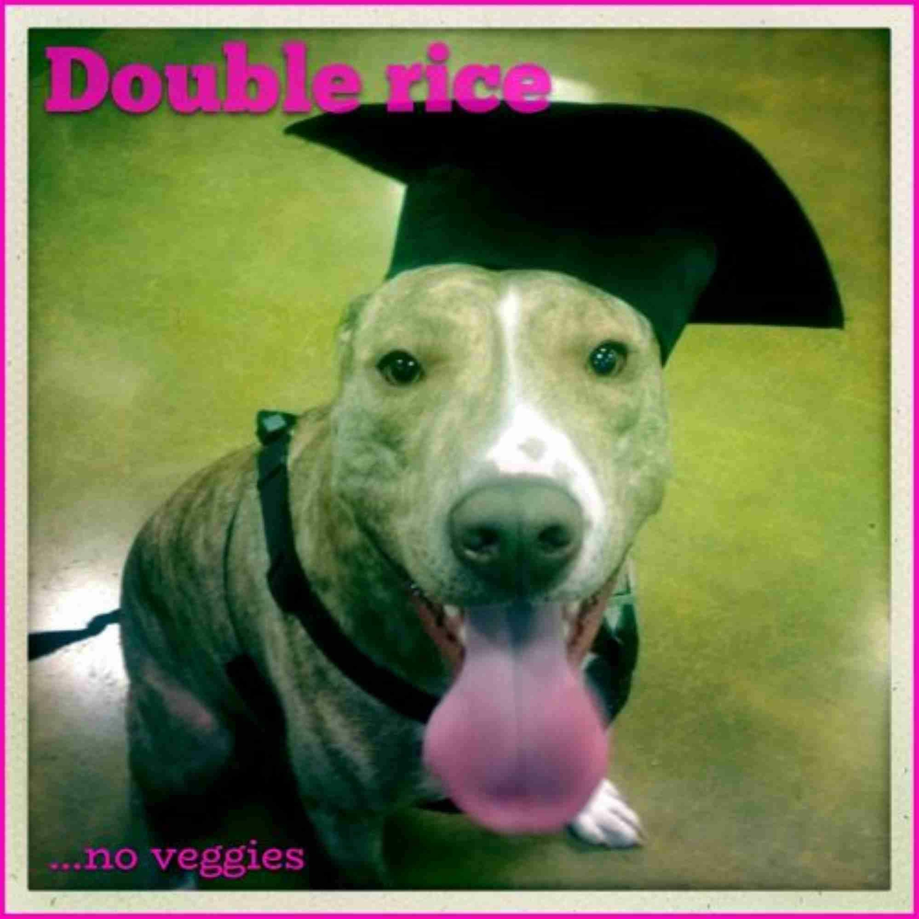 Double rice...no veggies