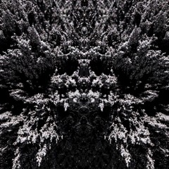 Let It Out (Free DL)
