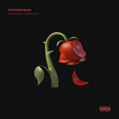 Promesas