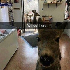 After the storm (prod.rollie)