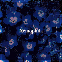 Nemophila