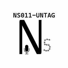 NS011 - UNTAG Type Beat Instrumental Trap - Drill - Rap - 2022