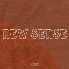 Cabi - New Sense