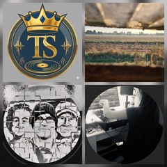 Eclectic Garden pt.2, 2025-09-20