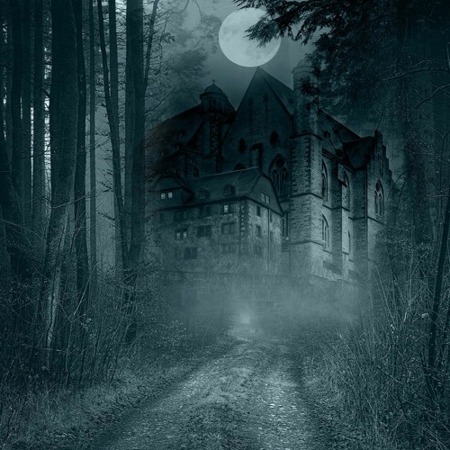 The Woods | Part III