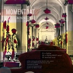 02. Momentdat - In ZigZag (ROOT Remix)