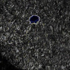 ᶻᶻᶻʞıʇʇןǝᶻᶻᶻ