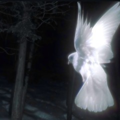 DEFTONES X DIIV X INDIE ROCK X SHOEGAZE X DREAM POP X ALTERNATIVE ROCK lNSTRUMENTAL "velvet"