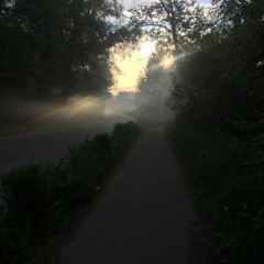 lost in morning light