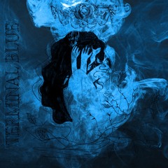 Terminal Blue