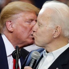 JUICYPICKLESOFTRENDERV3