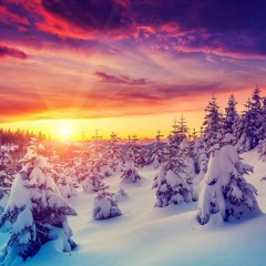 NEW DAY