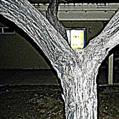 DJ SK11N - 2035 FUN HOUSE **PUSSY BOY RADIO**