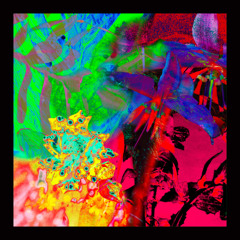 Gratts - New Horizons EP (BSBF1211) vinyl snippets