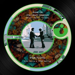 Pink Floyd - Shine On You Crazy Diamond (Niko Garcia & IVANG Bootleg)