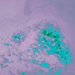 Living Skies (Free Download Click Buy)