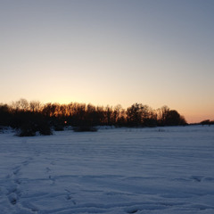 Sneeuw