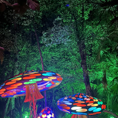 Sanctuary Sessions | mycologist @ Folklore London | 23.03.24