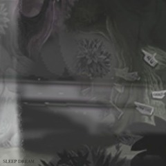 Sleep dream