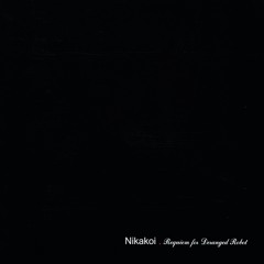 12. Nikakoi -  Ghost_file#12 (Requiem for Deranged Robot CESR005)