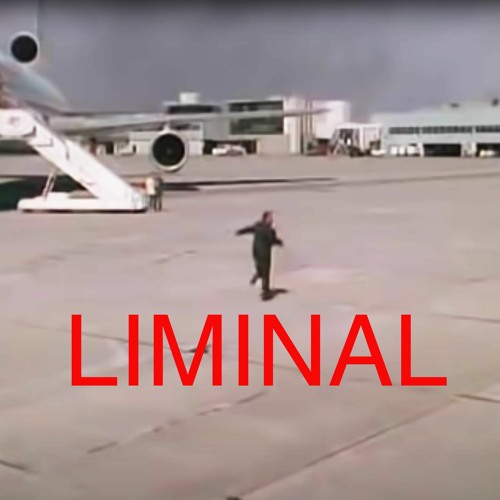 Stream Liminal terminal Nr. 13 by Pegasinus | Listen online for free on ...