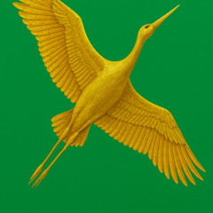 The Second Stork’s Golden Flight - First Light Over Feathers