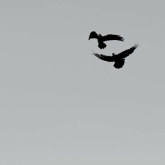 أرق على أرق -  نواف