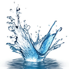 SPLASH VERSE