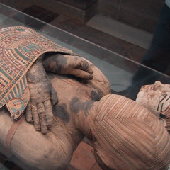 When Mummy Mania Swept the World