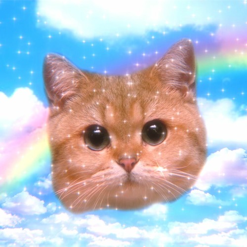 CAT DAD ANTHEM (prod. Justxrolo)