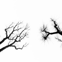 I Need A Butterfly [NoA Krsnik]