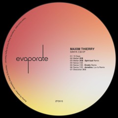 PREMIERE: Maxim Thierry - Shenzhen [ZFD015]