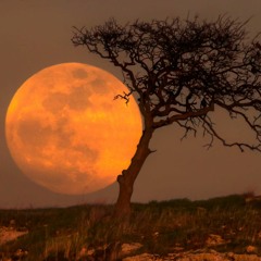 Luna de Abril