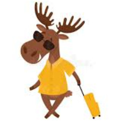 Do What Moves Your Spirit