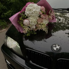 𝑚𝑎𝑎 𝑠𝑜𝑛𝑔𝑠