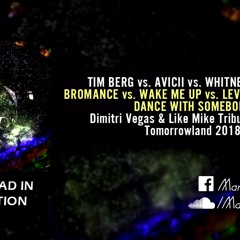 Bromance vs. Wake Me Up vs. Levels vs. I Wanna Dance With Somebody (DV&LM Tribute To Avicii TML '18)