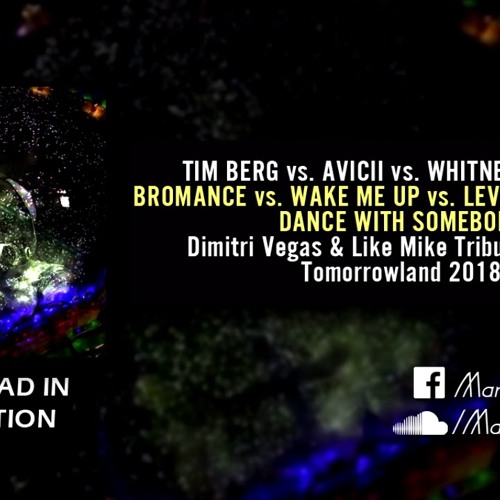 Bromance vs. Wake Me Up vs. Levels vs. I Wanna Dance With Somebody (DV&LM Tribute To Avicii TML '18)