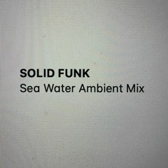 Solid Funk - Sea Water Ambient Mix